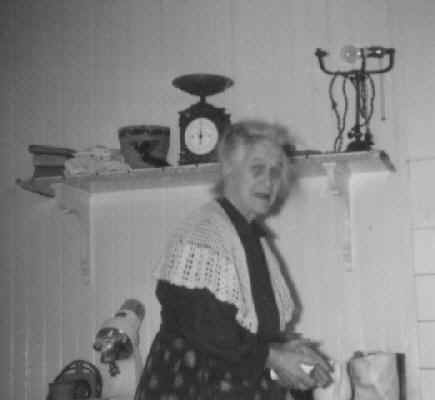 wpe2.jpg (11498 bytes)
